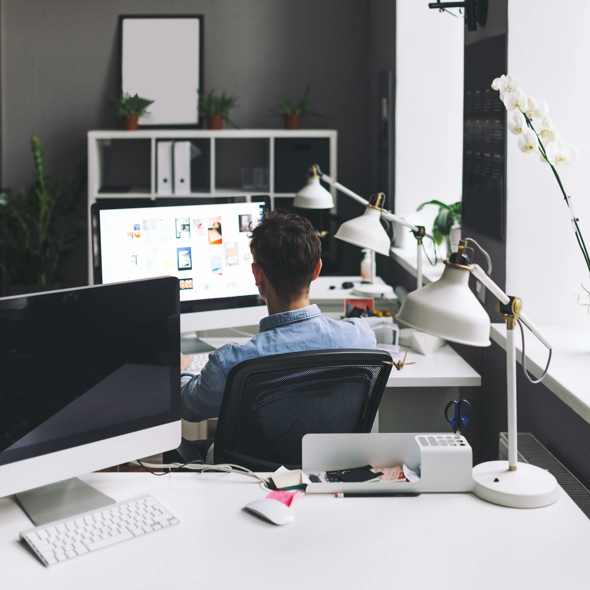 Complete WordPress Development Services